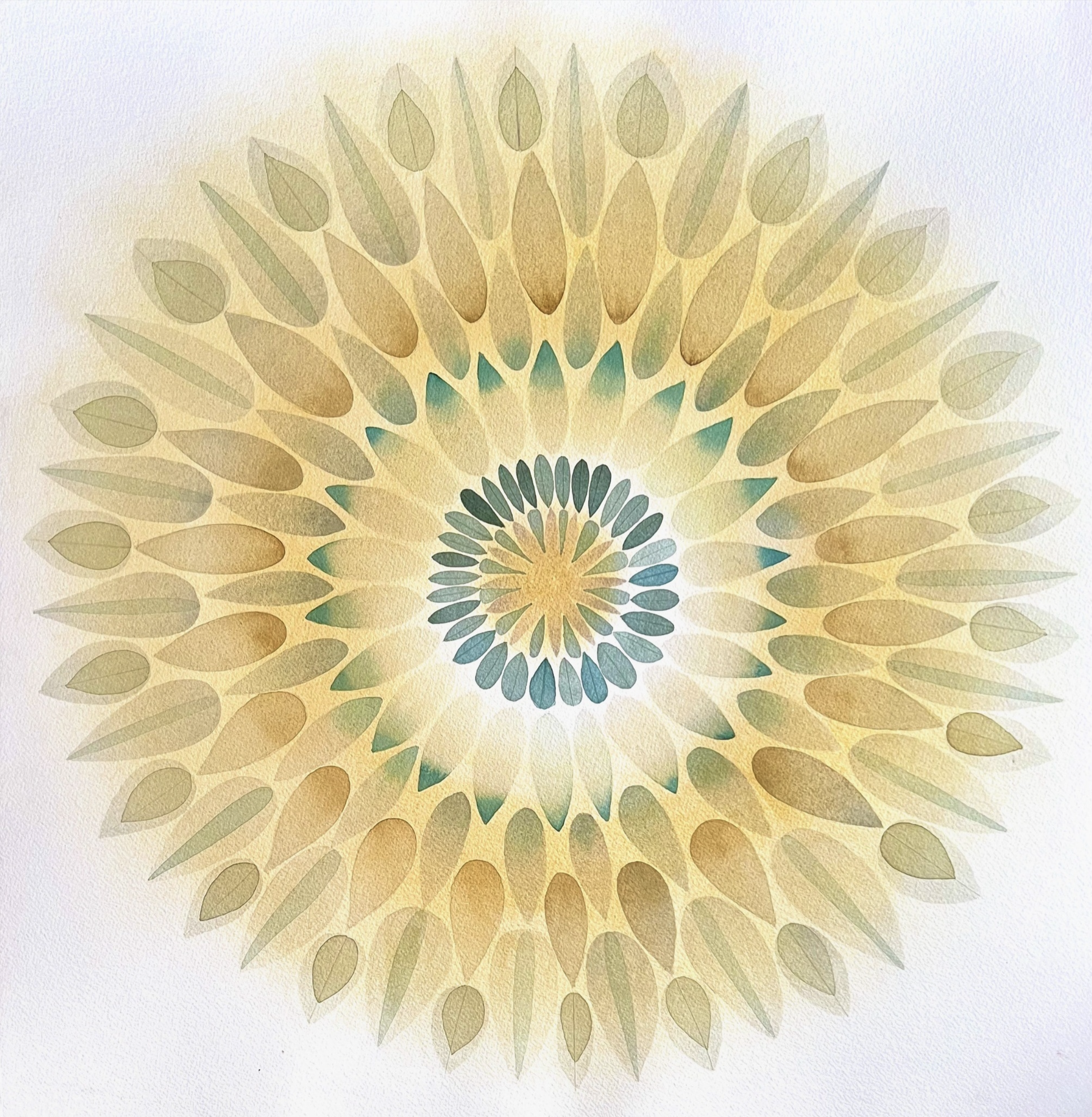 Jan's Work — Jan Heaton Watercolors